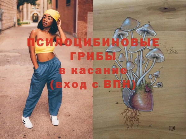 винт Абаза