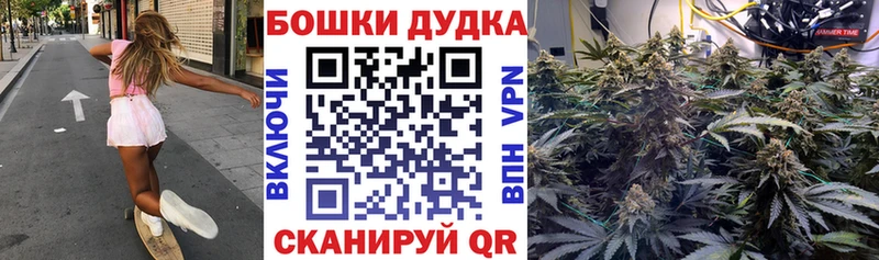 купить закладку Никольск Каннабис Amnesia